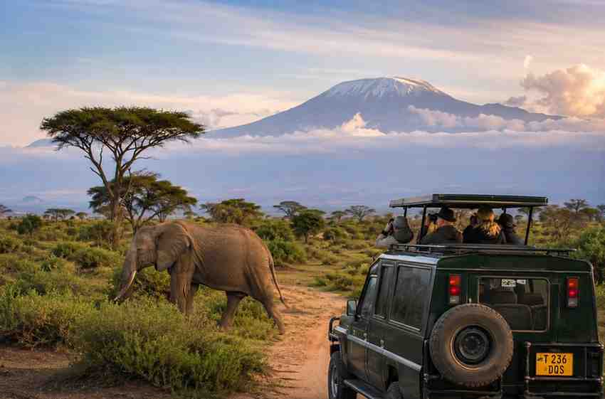 Wildlife Watching Destinations
